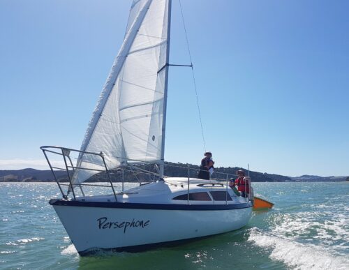 catamaran charter bay of islands