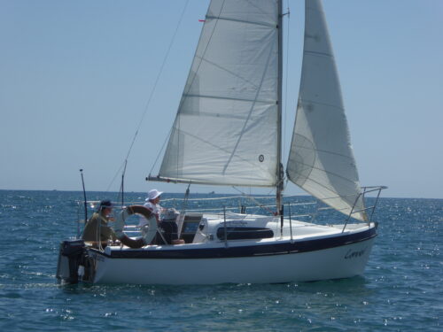 catamaran charter bay of islands