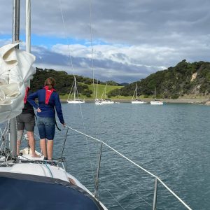 bareboat yacht charter new zealand