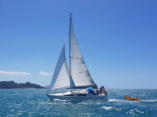 yacht charters bay of islands