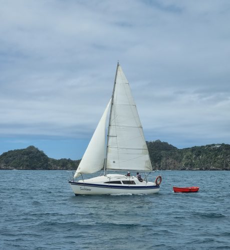 Solitaire Noelex 25 under sail