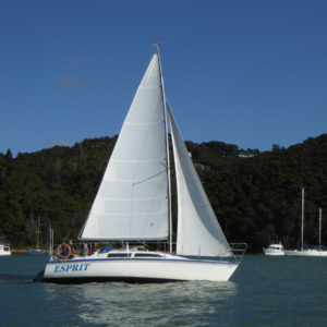 bareboat charter
